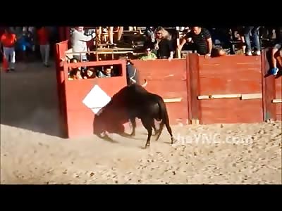 Girl couldn't hide and was caught by the bull gets Her Pants Pulled Off 
