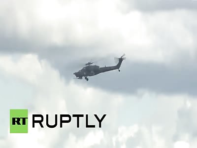 Russia: Berkut Pilot Killed During Aerobatic Stunt 