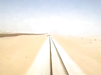 Camels Killed by a Train