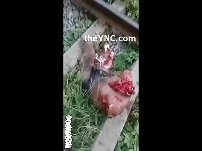 Man Ripped into Pieces from Train..His head shows Up at the End 