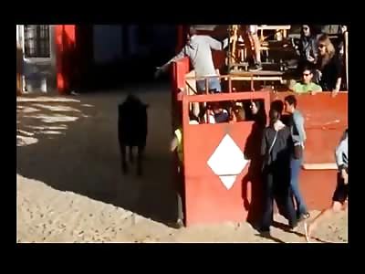 Female Tourist learns Quickly Why you Dont Stand in the Pit with the Bulls 