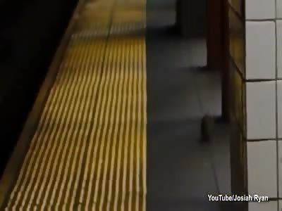 Man on subway attacked by giant rat.