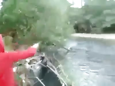 Crazy chick throwing puppies into the river!