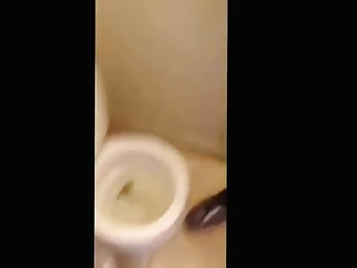 Black Guy Paid 9 Dollars to Scoop his Own Shit from Toilet with his Hand