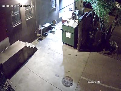 UNBELEIVABLE! - Bear Smells Food and Walks Off with Entire Dumpster Like a BOSS!