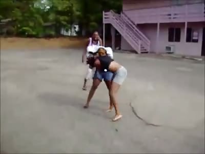 2 Stripper Ghetto Ho-bags Go Ape Shit in the Ghetto Because One Stole the Others 