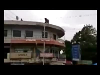 Scared Bull Leaps to His Death (How the Fuck Did he Get up there?)