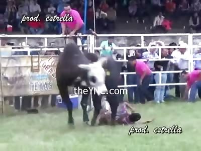 Man Killed in Seconds by Raging Bull (Crushed his Chest with a Blow)