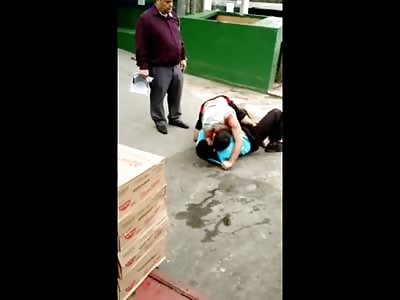 Man Ends Thief with a Perfect Kick to the Face Knocking Him the Fuck out