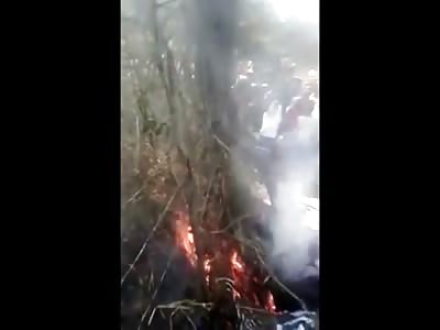 Man Tied to a Tree Screaming is Set on Fire and Burned Alive Like a Wickerman
