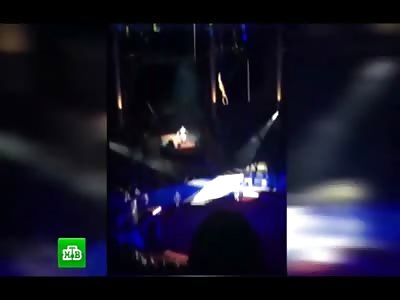 Circus Performer Isn't Saved by the Net