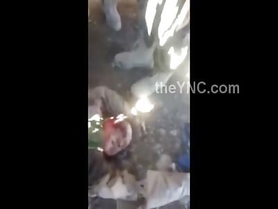 Video Shows Russian Pilot Shot Down over Turkey Surrounded by Syrian Rebels About to Mutilate Him