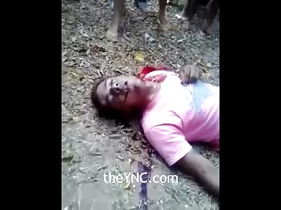 Man in Pink Shirt Still Agonizing after Being Shot in the Neck and Head