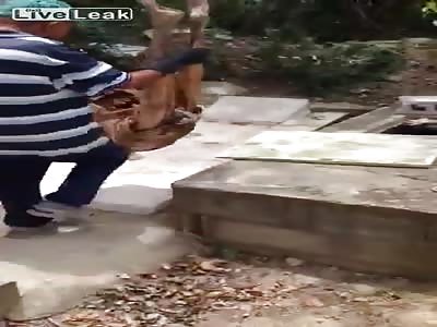 Cemetery Worker Doesn't Give A Fuck