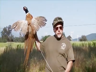 Official Ojai Valley Taxidermy TV Commercial 