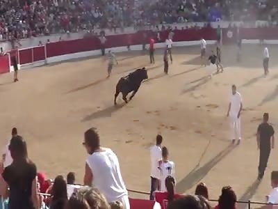 Bull killed a noob man 42 y/o (Villarejo de Salvanes - Madrid - Spain)