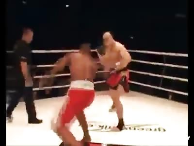 brutal knockouts