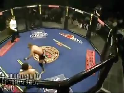 All time MMA fastest knockouts