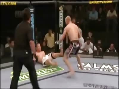 best and crazy knockouts mma
