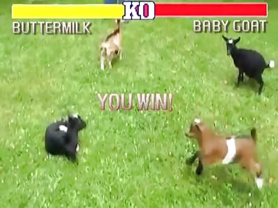 Street Fighter: Goat & Sheep Edition