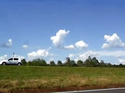 Amazing creature seen in the sky of Brazil