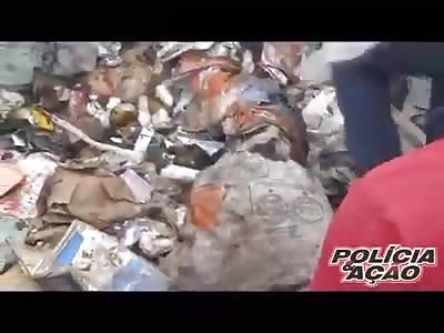 LIFE AND DEATH IN THE TRASH!!!