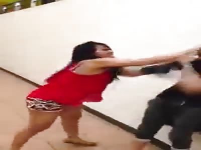 THE ASIAN CATFIGHT COLLECTION