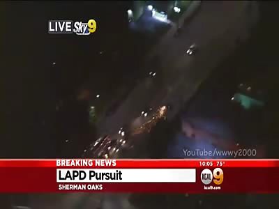 LOS ANGELES POLICE CHASE