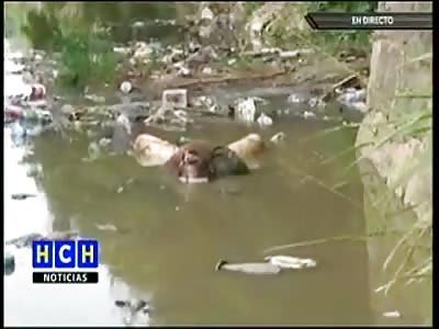 ROTTING CORPSE FOUND IN A RIVER