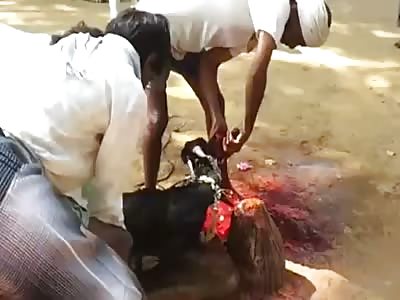 Goat beheading