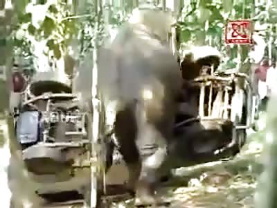One pissed off Elephant in india yesterday.