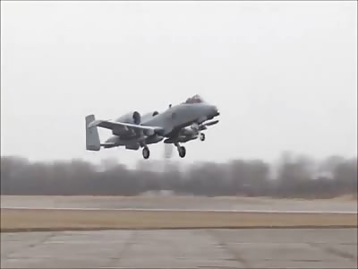 Everything you want to know about the-A 10 Warthog