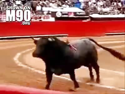 The bull wins.