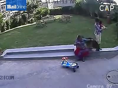 Dog attacking a child