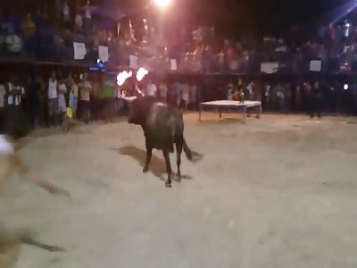  Dont Mess with the Flaming-horns Bull
