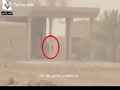 Sniper kill a number of ISIS. 