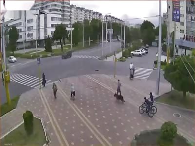  Lucky Pedestrians  Russia !  