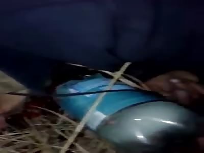  *GRAPHIC* Ukrainian special forces stab and kill rebels  