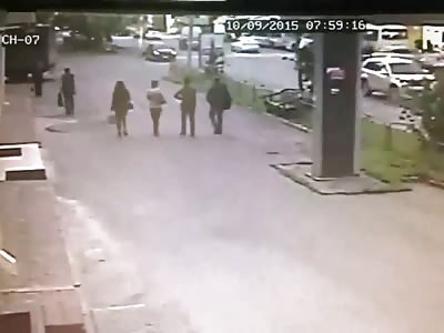 Reversing van kills woman