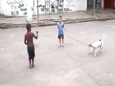 Puppy Entertains Kids With Jump Rope