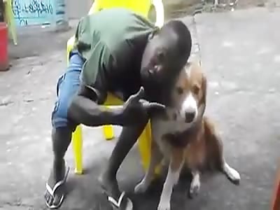 How NOT to kiss a Dog. 