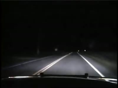 Why did the deer cross the road ?