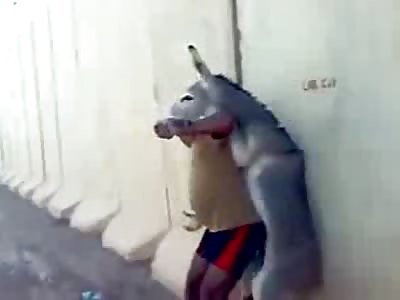 Total asshole has MMA fight with a donkey