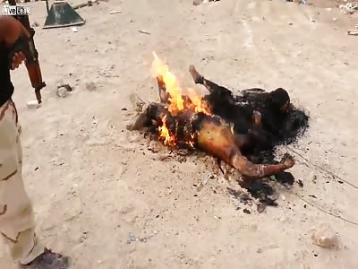 Burning Daesh