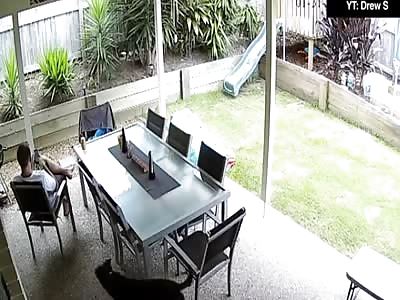 Gold Coast Man's Terrifying Backyard Encounter with Deadly Brown Snake 