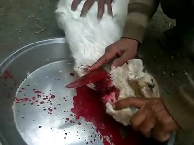 beheading a goat 