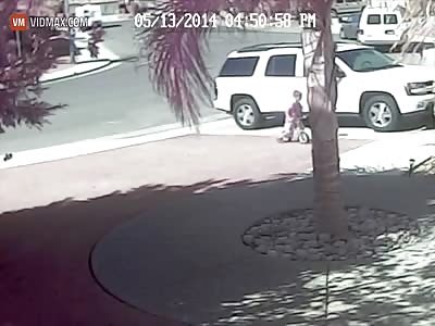 Cat saves little boy from nasty dog attack.