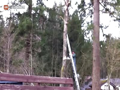 This is how a moron cuts a tree.