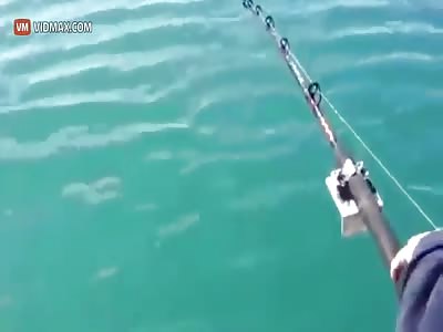 Fisherman gets more than he intended
