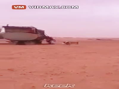 Dog attacks a Saudi's ass while he's taking a sh*t in the sand.